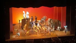 Der ewige Kreis - Der König der Löwen das Musical Hamburg #lionking #königderlöwen #musical