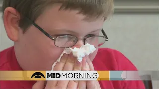 Advice From Pediatrician For Seasonal Allergies