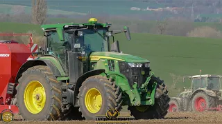 Ersteinsatz John Deere 7R 330 & Horsch Pronto 6 KE Rübenland Vorbereitung Grubbern, Legen & säen