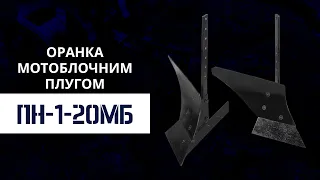 Оранка мотоблочним плугом ПН-1-20МБ з дизельним мотоблоком ДТЗ 512ДНЕ