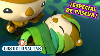 Los Octonautas Oficial En Español - Historias de bebés en primavera | ¡Especial de Pascua!