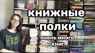 Расстановка книг на полках || очень много книг