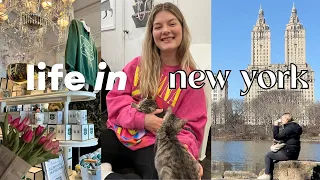 LIFE IN NYC | Spring has sprung 🌷, cat cafe, Ralph's coffee, Home Goods