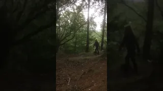 if you go down to the Woods today