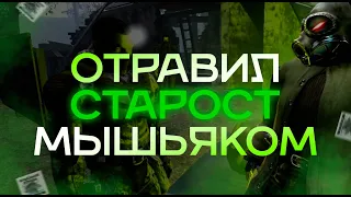 Я ОТРАВИЛ СТАРОСТ. (История конкретного новичка) {Mysterious Zone | STALKER RP} #garrysmod