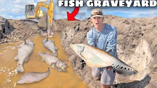 These Fish Were Left to DIE!