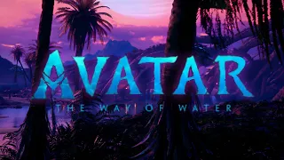 Avatar: The Way of Water | Metkayina Night | Ambient Soundscape