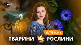 Тварини VS Рослини для НМТ | ZNOHUB