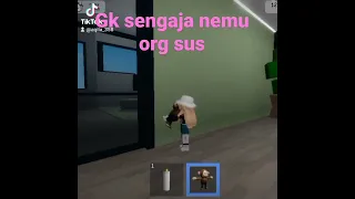 gk sengaja nemu orang yg mau sus di Roblox brookhefen 😱