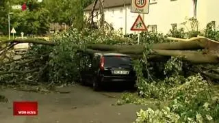 WDR extra; Unwetter in NRW   Aufräumen nach dem verheerenden Sturm   Unwetter in NRW   Aufräumen nac