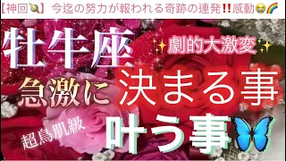 牡牛座🦋【超鳥肌級‼️ついに報われる😭】急激に決まる事🌹叶う事で流れに乗る㊗️今がどんな状況でも一変する奇跡の可能性あり🌈✨深掘りリーディング#潜在意識#魂の声#ハイヤーセルフ