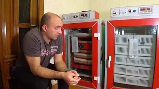 Мой выбор инкубатора MultiLife,NBF,Воронежский инкубатор.