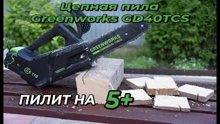 Аккумуляторная цепная пила Greenworks GD40TCS: обзор и распил дерева