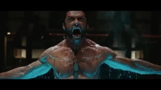 Logan (Wolverine) The Animal