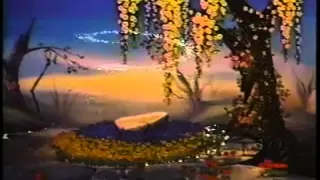 Opening To Little Giants 1995 VHS