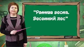 Ранняя весна. Весенний лес.