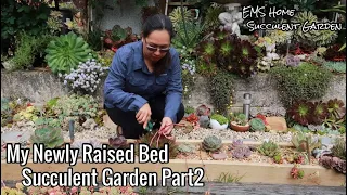 Succulent Raise Bed Garden Reveal Part2