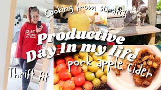 FALL PRODUCTIVE DAY IN MY LIFE HOMEMAKING, CLEAN WITH ME, APPLE CIDER PORK CHOPS Recipes