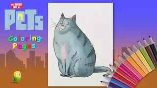 Coloring сat Chloe from The Secret Life of Pets. Coloring for kids. How to draw a cat cartoon.