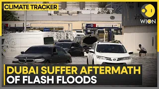 Dubai floods: Waterborne diseases increase after rains | Climate Tracker | WION