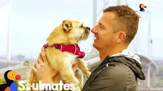 Guy Adopts Stray Dog Who Followed Him On Race | The Dodo Soulmates