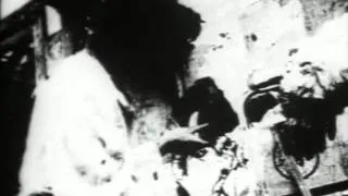 Begotten Antichrist (Part 2)