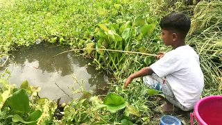 Best Hook fishing 2022✅|Little Boy hunting fish by fish hook From beautiful nature🥰🥰(Part-313)