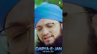 Ya Rabbe Mustafa to Mujhe Hajj Pa Bula - Hafiz Tahir Qadri