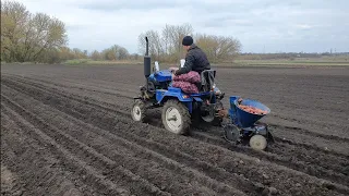 Посадка картоплі мототрактором форте і навісною картоплесажалкою. Піднімемо країну всі разом!