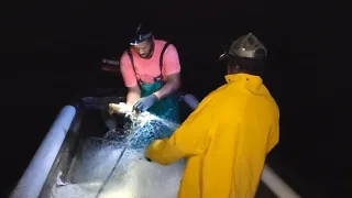 🇯🇲NIGHT FISHING PART 2 STORMY WEATHER🇯🇲