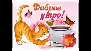 С добрым утром! Хорошего дня! / Доброго ранку! / Good morning! Have a nice day!