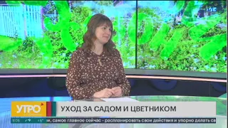 Удачный сезон. Уход за садом и цветником. 23/04/2024. GuberniaTV