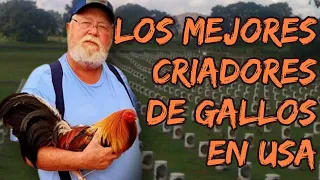 Los Mejores Criadores De Aves Usa