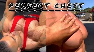 PERFECT CHEST EXERCISE | BODYBUILDING CHEST WORKOUT OF JEREMY POTVIN 👈. #bodybuilding#chestexercises