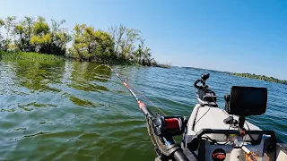 High Speed Catfishing on Kerr Lake | Home of the WORLD RECORD Blue Catfish