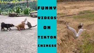 Funny Video - The Funniest Videos on Chinese TikTok 2022 Part 14