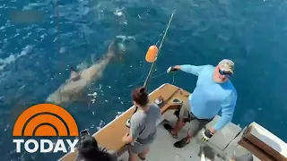 12-year-old boy hooks a big one: A great white shark!