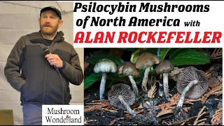 Psilocybe Mushrooms of North America- Alan Rockefeller at CFS2022