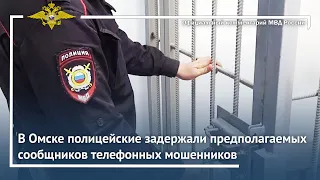Ирина Волк: В Омске полицейские задержали предполагаемых сообщников телефонных мошенников