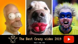 Funny Video 2019 - try not to laught - Funny 2019 (best video of the week) | Crazy Fun