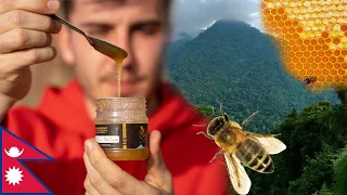 I tried the  psychoactive MAD HONEY in Nepal.