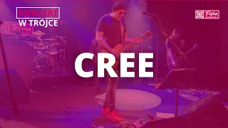 Cree | Koncert w Trójce