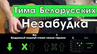 Тима Белорусских - Незабудка  Разбор песни на гитаре  Аккорды и бой