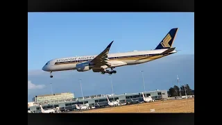 INCREDIBLE Sunrise Arrivals | Adelaide Airport Plane Spotting