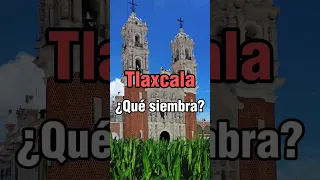 Tlaxcala ¿Qué siembra? #tlaxcala #maiz #parati