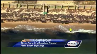 Three Cape Cod beaches closed after shark sightings