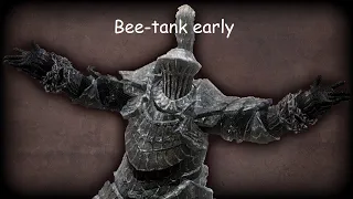 Early bee-tank build (dark souls 2)