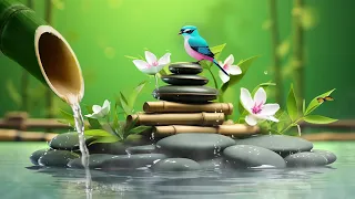 Relaxing Sleep Music + Insomnia: Sleep, Spa & Meditation, Music for Stress, Nature Sounds, Bamboo