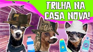 PASSAMOS O DIA COM NOSSOS CACHORROS FAZENDO TRILHA