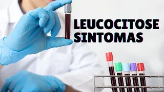 Leucocitose sintomas